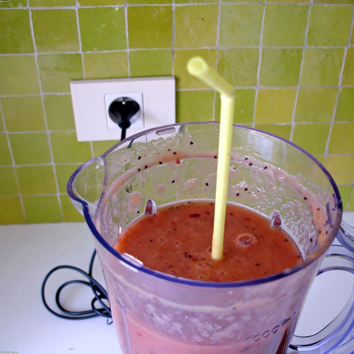 HomeChef Power Blender